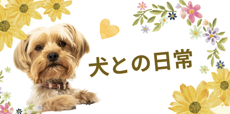 カワイイがいっぱい！ワンダーランド